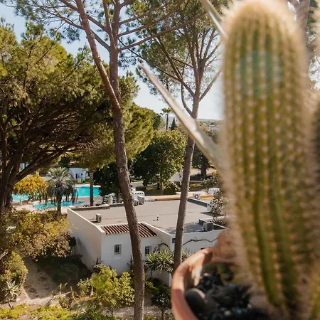 Acolhedor T1, Vista Piscina , Balaia Golf Village * Albufeira