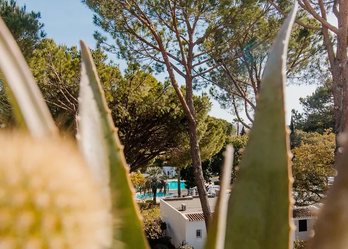 Acolhedor T1, Vista Piscina , Balaia Golf Village アルブフェイラ